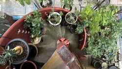 Whampoa Drive (D12), Apartment #541291081